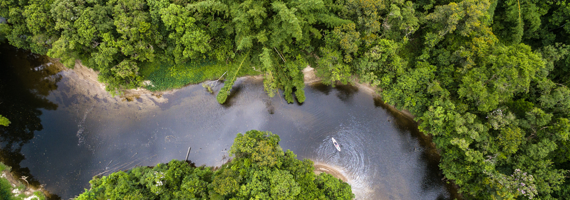 forêt amazonienne