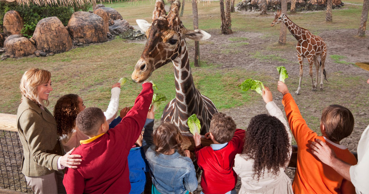 parc animalier.png